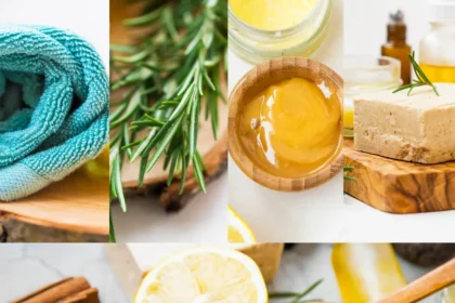 WellHealthOrganic Organic Skincare The Guide to Natural, Ayurvedic Beauty