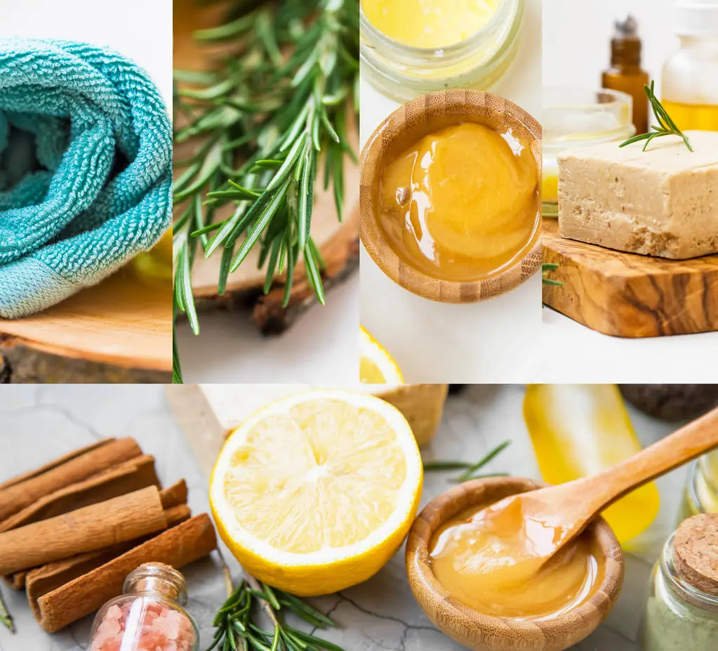 WellHealthOrganic Organic Skincare The Guide to Natural, Ayurvedic Beauty
